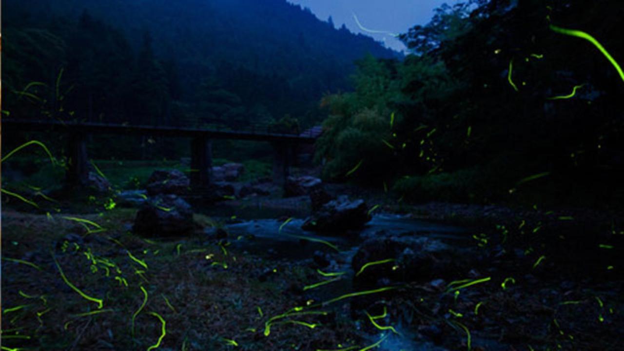 Kyukamura Oku-Musashi Hanno Exterior foto